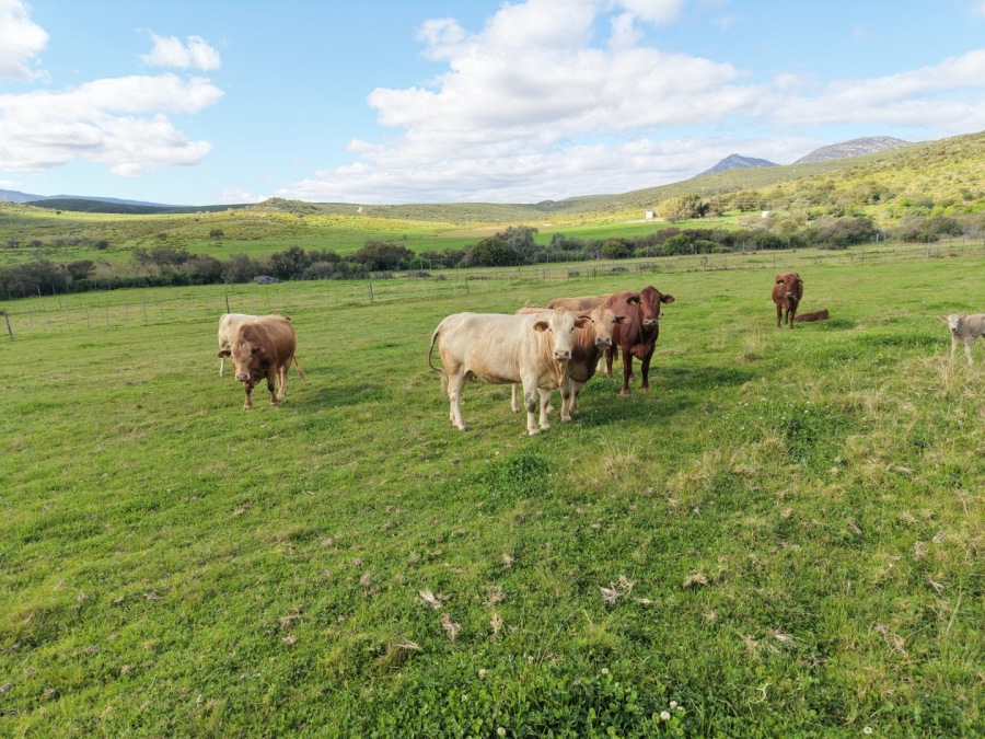 Commercial Property for Sale in Mossel Bay Rural Western Cape